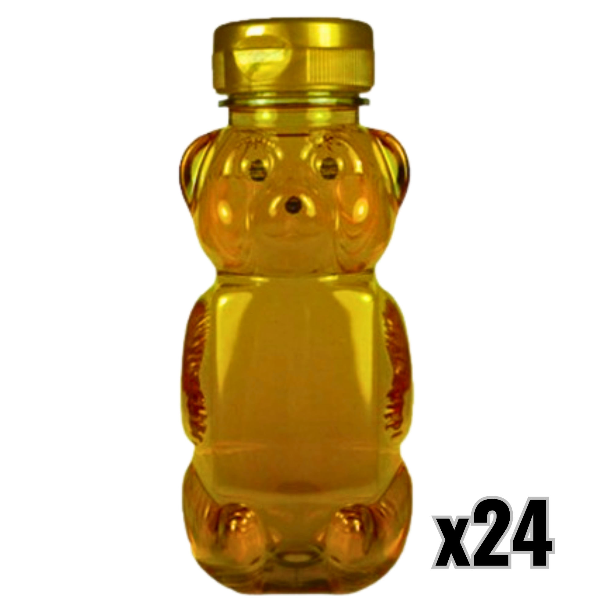 12 oz Plastic Flat Panel Honey Bears