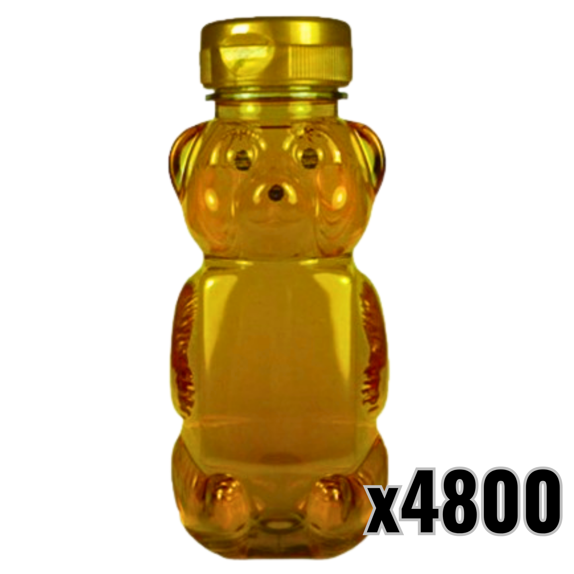 12 oz Plastic Flat Panel Honey Bears