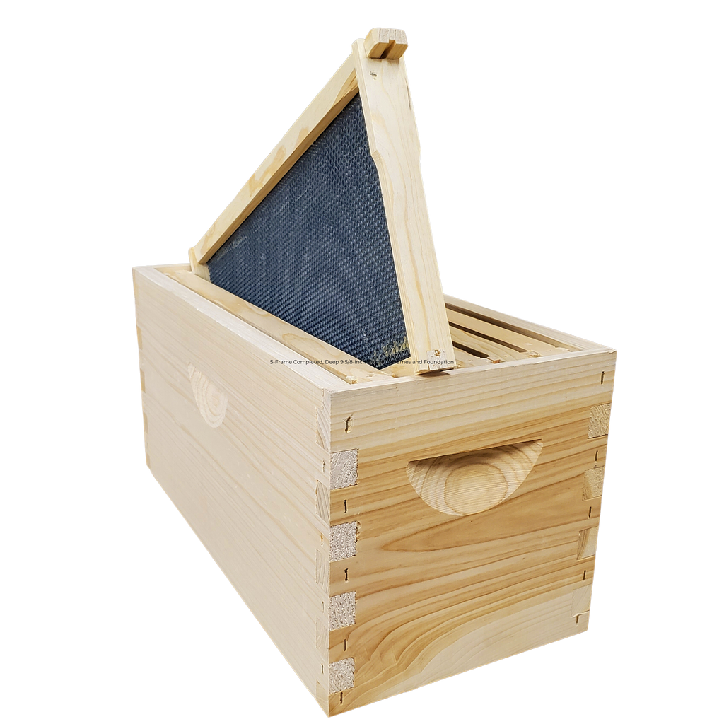 5-Frame Complete, Deep 9 5/8-inch Box with Frames and Foundation