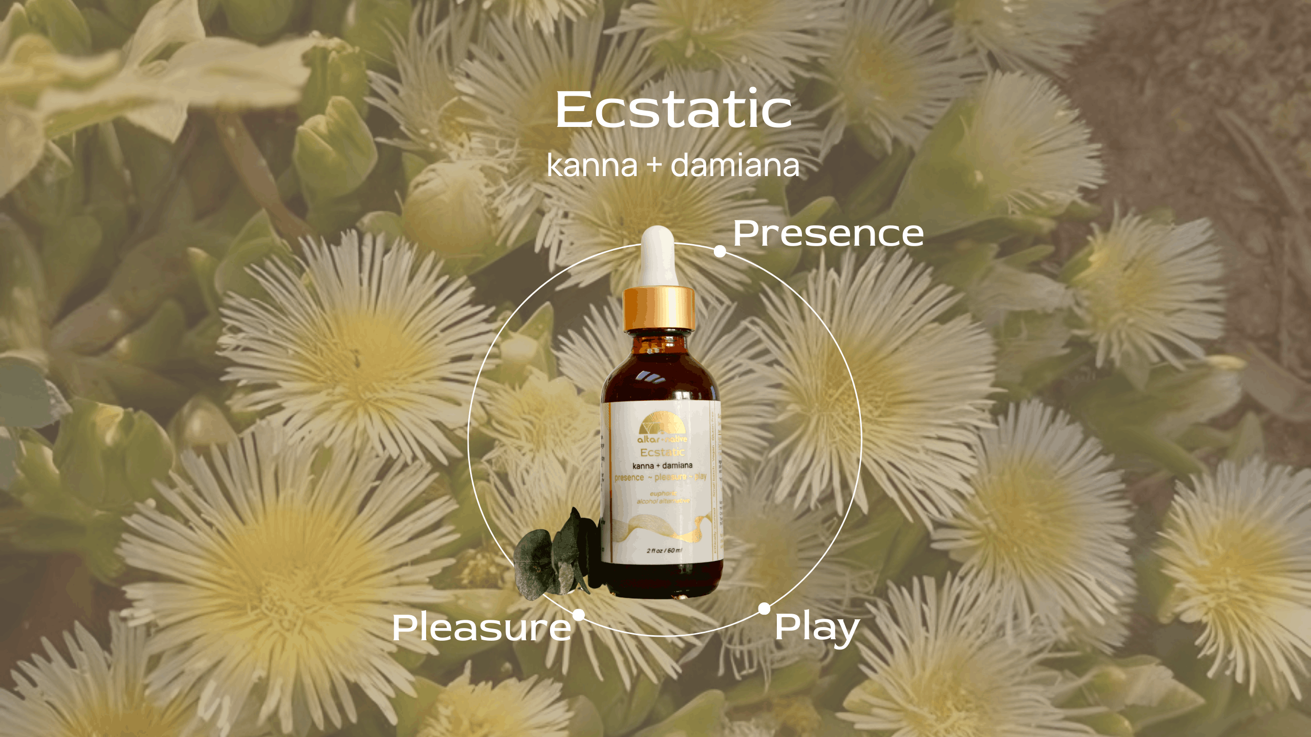 (PRE-ORDER) Ecstatic ⟡ Kanna & Damiana Drops