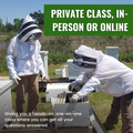Private Class - Mentor Service